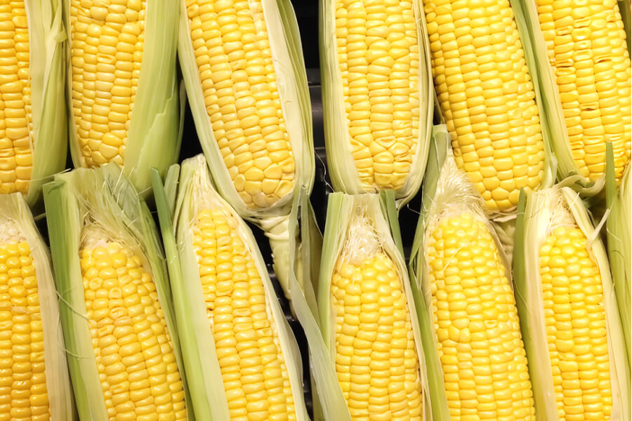 東神楽の豊かな自然が育んだ夏の味覚のイメージ