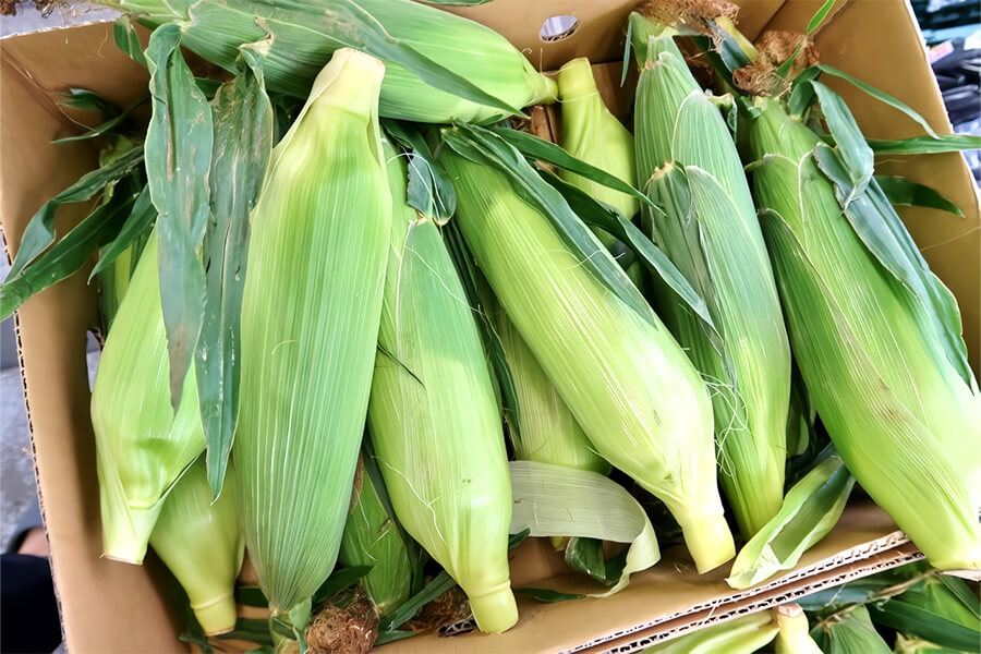 とうもろこしの美味しい食べ方のイメージ