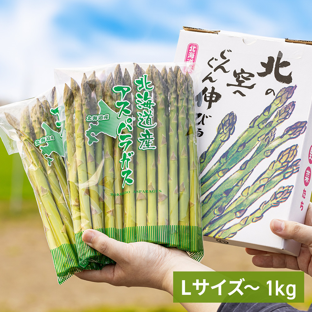 ランラン　　アスパラガス種子（アスパラ）300粒 6株 バイトル アスパラガス苗 2Lサイズ 栽培用 カネコ種苗 DZ