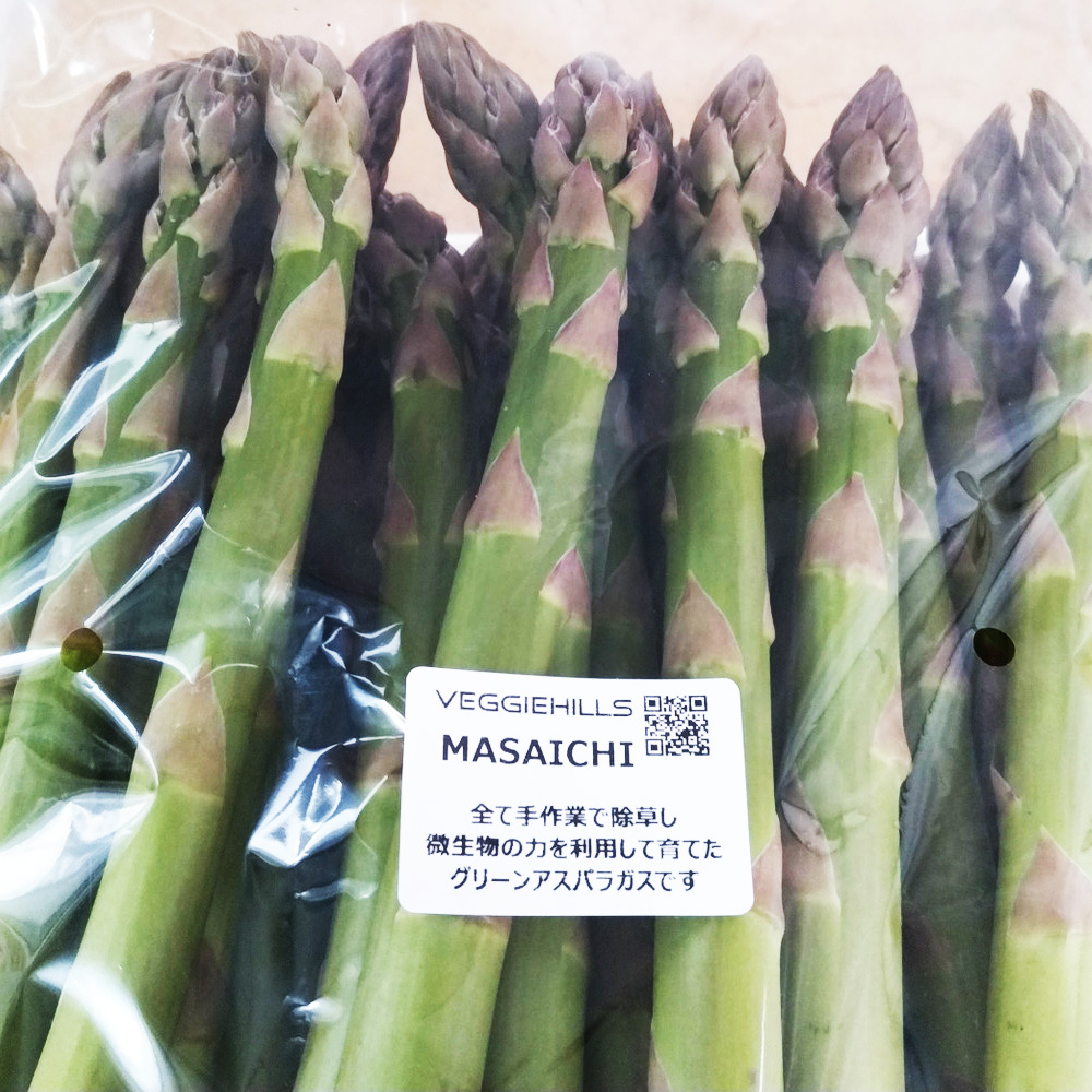 グリーンアスパラガス M～2Lサイズ混在 1.5kg【北海道産】｜PREZO