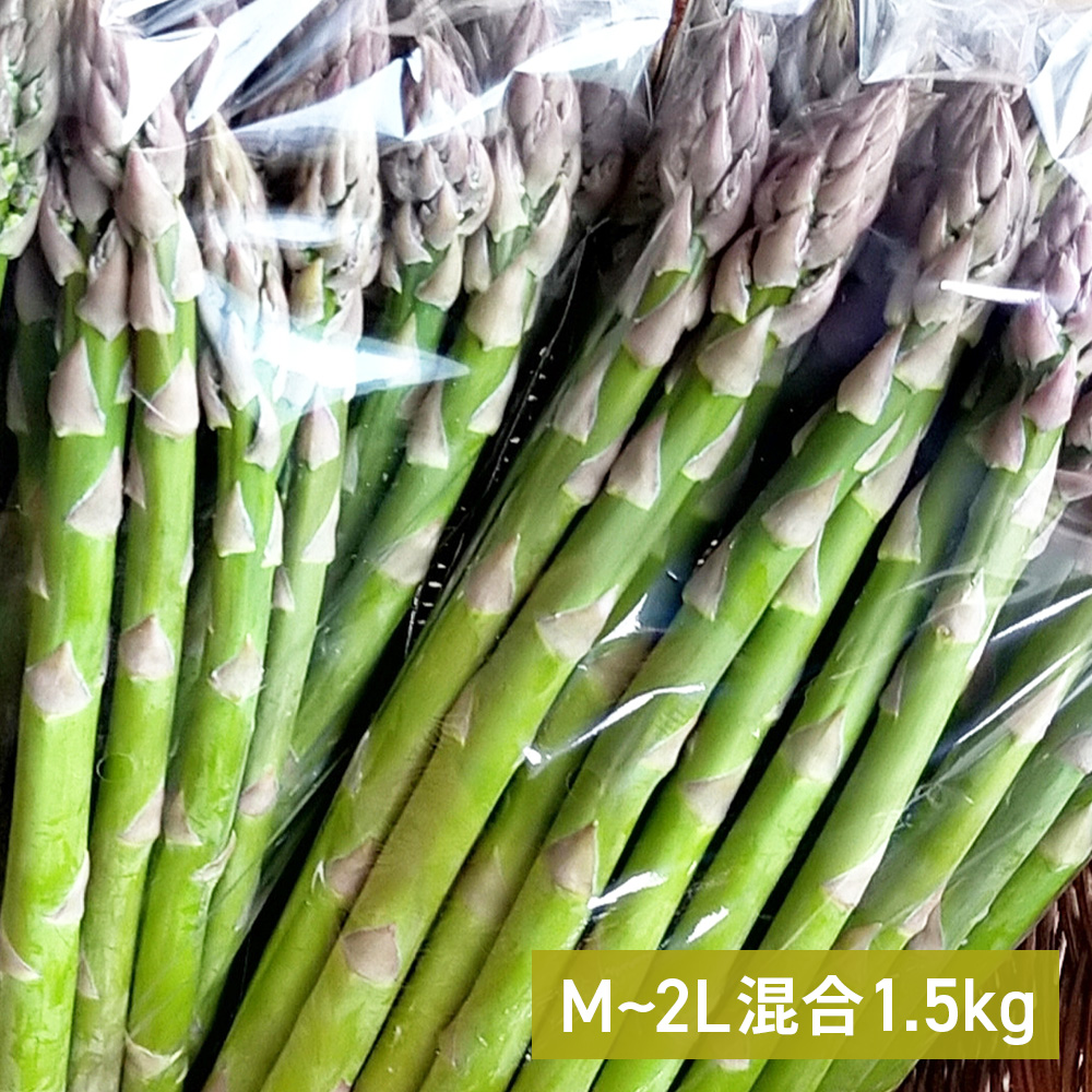 アスパラガス グリーンアスパラガス M～2Lサイズ混在 1.5kg【北海道産】｜PREZO