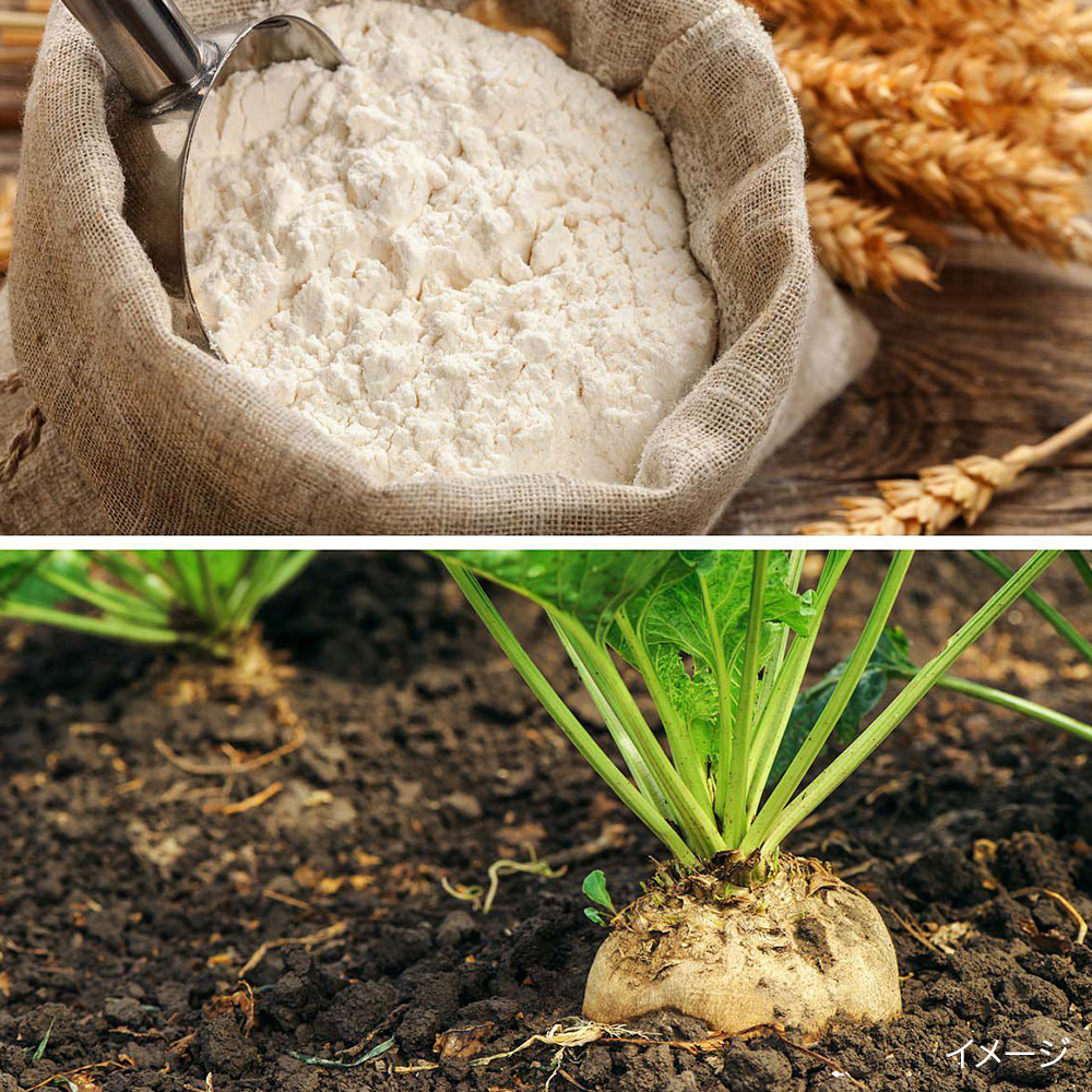 蔵生 ミルク・ホワイト詰め合わせ 16枚入【The Sun 蔵人】｜PREZO