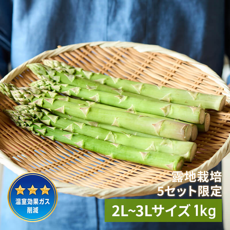 あすぱらたち 露地アスパラガス 2L～3Lサイズ 1kg【5セット限定