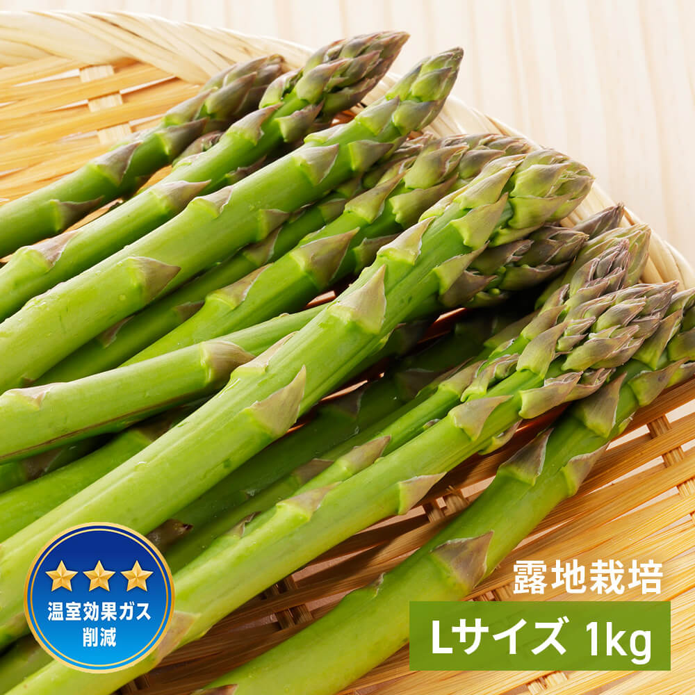 あすぱらたち 露地アスパラガス Lサイズ 1kg【北海道産】｜PREZO