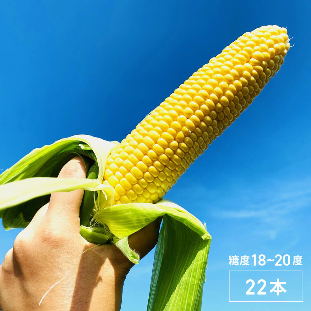 糖度18～20度！北海道産とうもろこし22本（わくわくコーンorほし