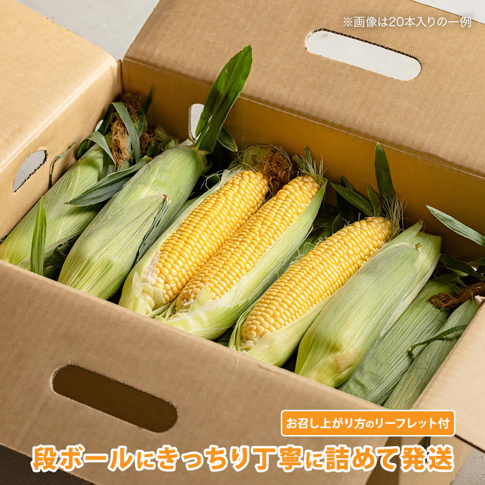 ◆限定1個◆高品質 玉石彫刻 とうもろこし　コレクション 送料無料　本物保証 甫立（ほだて）さんちのスイートコーン🌽 スイートコーンは鮮度が生命