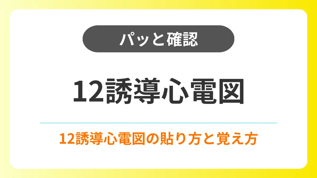 【パッと確認】12誘導心電図の貼り方・覚え方 イメージ