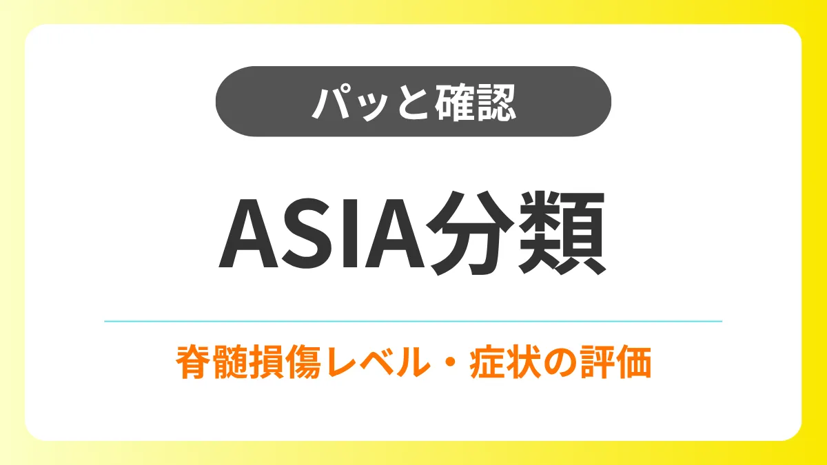 【パッと確認】ASIA分類|脊髄損傷レベル・症状の評価 イメージ