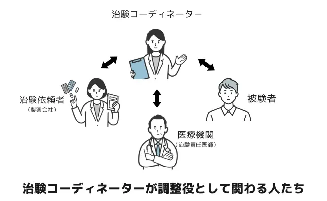 治験コーディネーターは、治験がスムーズに行われるように治験参加者をサポートしたり、関係者のスケジュール調整を行います。