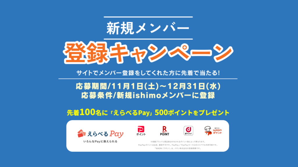 《先着100名にえらべるPay500ポイント》新規メンバー登録キャンペーン！【12/31まで】