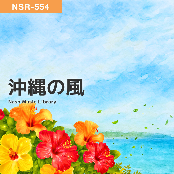 Nas ナズ s-l1200.jpg