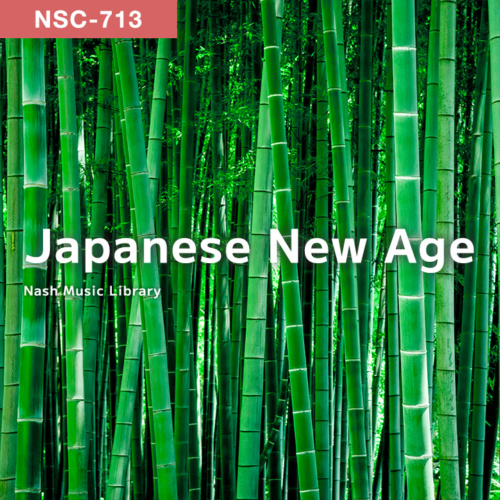 17年目の波音 なかの弥生 NSC-713 Japanese New Age の作品詳細 | Nash Music Library