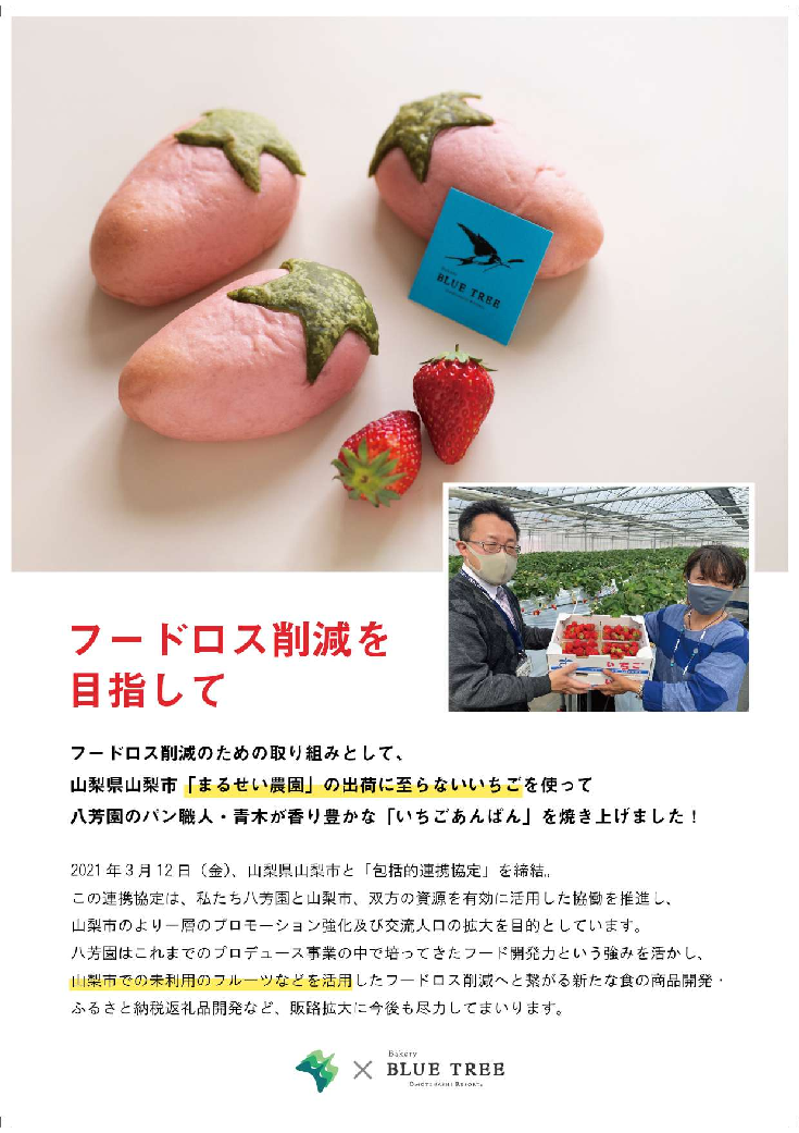 スライド画像