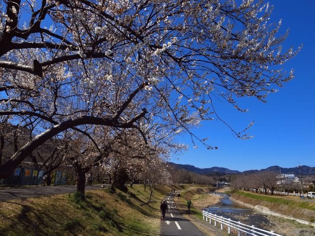 (c)Yoichi Takabayashi