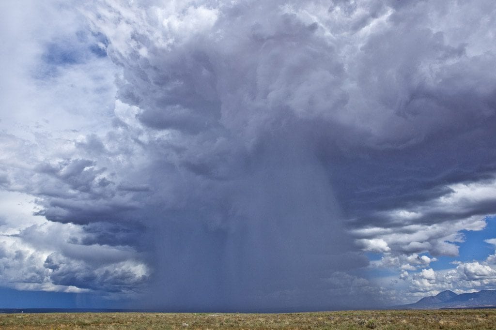 こんな雨でも英人は走る!?