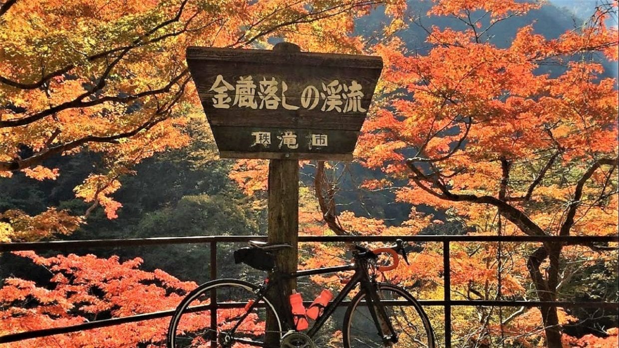 紅葉 ロードバイク 関東 おすすめスポット
