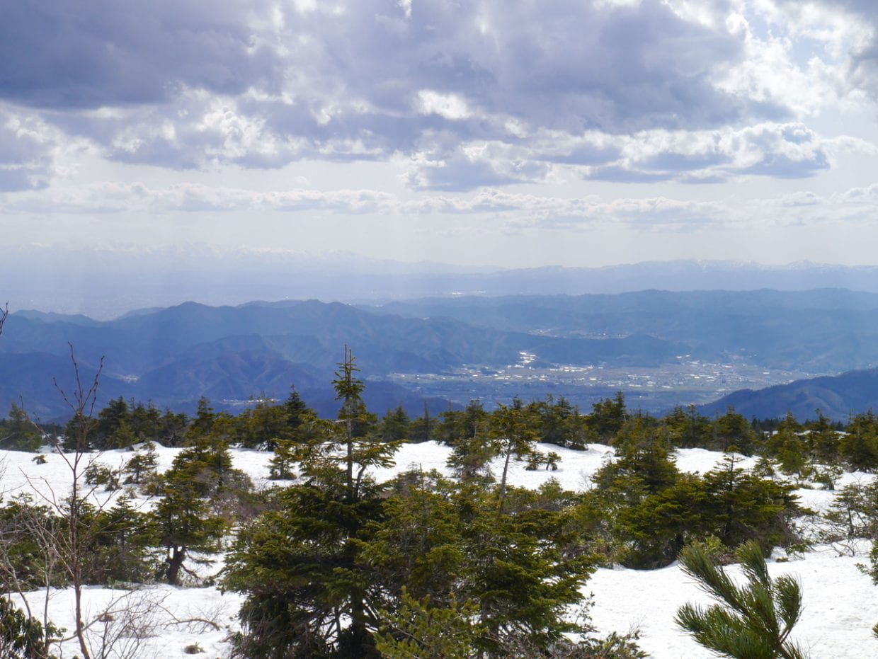 山形の街が一望!