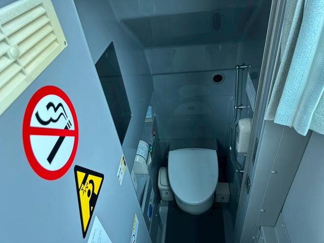 日野セレガバス|中古トラックの販売・買取・査定のアイナビ