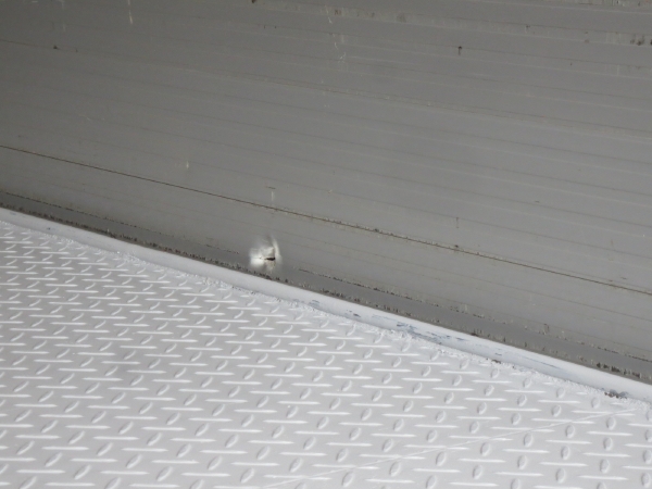 いすゞフォワードワイドアルミウイング|中古トラックの販売・買取・査定のアイナビ