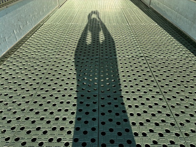 パネルバンセミワイドベッドレス日本フルハーフラッシング|中古トラックの販売・買取・査定のアイナビ