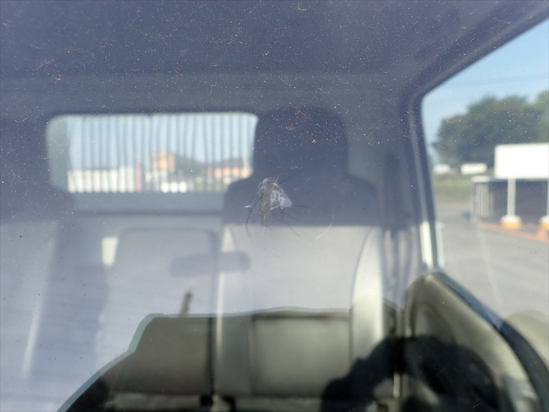 【349626】いすゞ エルフ セーフティローダーダンプ|中古トラックの販売・買取・査定のアイナビ