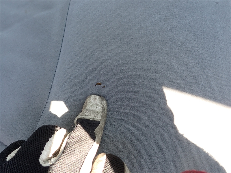 【351375】いすゞ エルフ アルミ平ボディ（上物乗替物）|中古トラックの販売・買取・査定のアイナビ