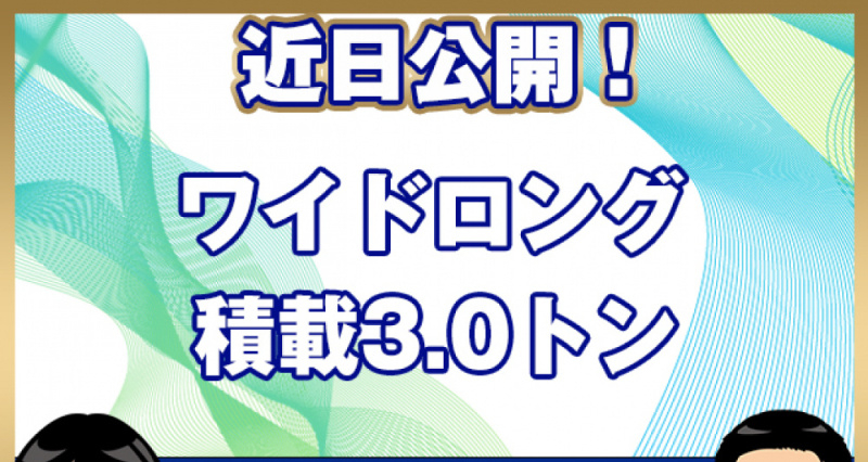 いすゞ ウイング車 エルフ|中古トラックの販売・買取・査定のアイナビ