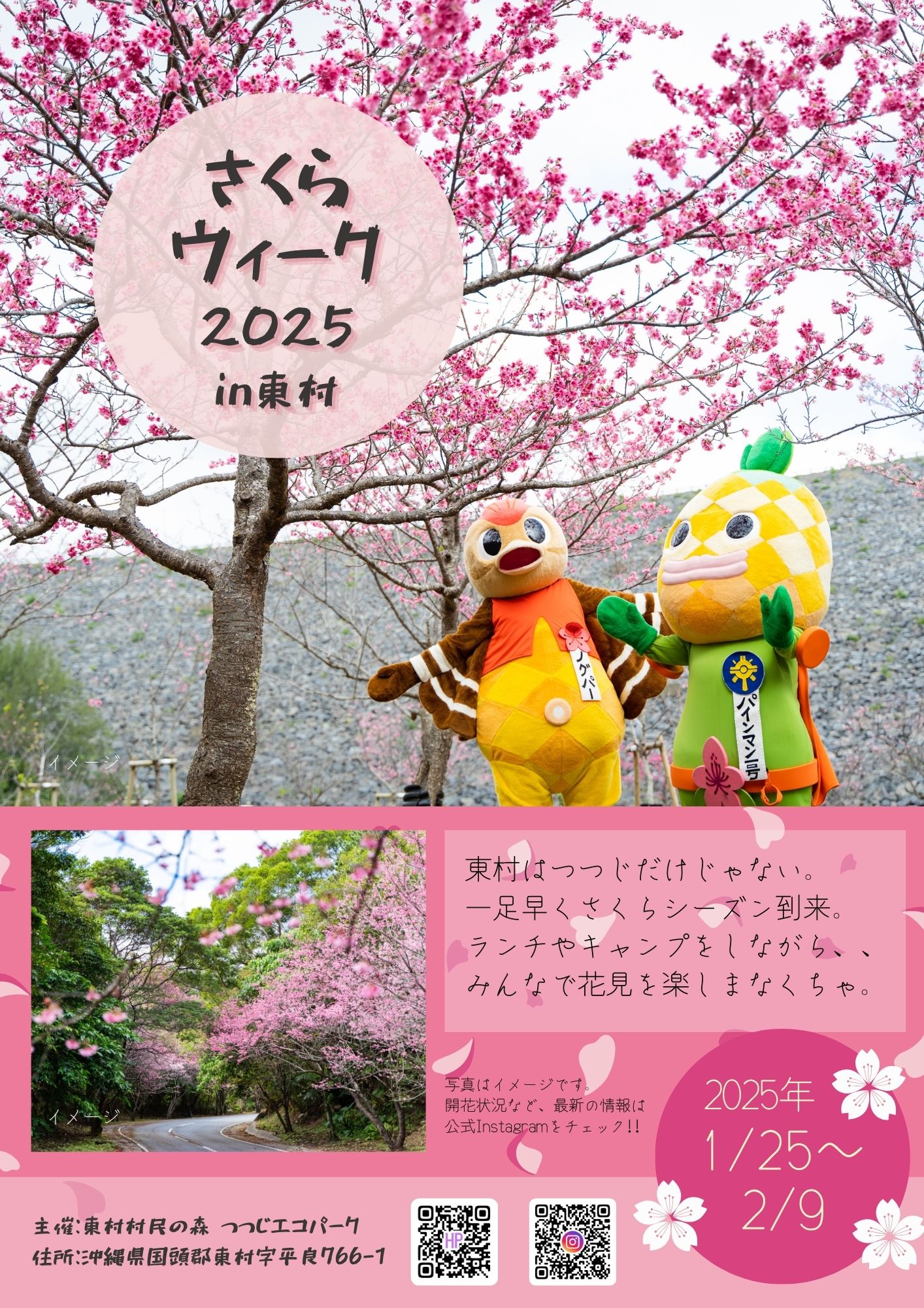 2025年度　しめ縄no.799 2025年度しめ縄no.799 2025年度しめ縄no.816