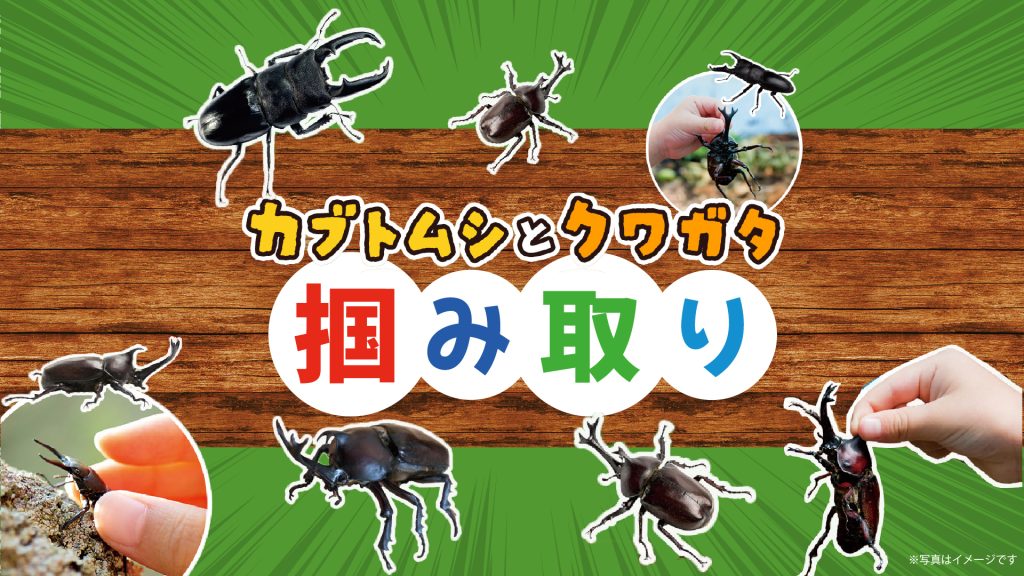 カブトムシ摑み取り！小学生以下にかき氷無料配布！【FC琉球】
