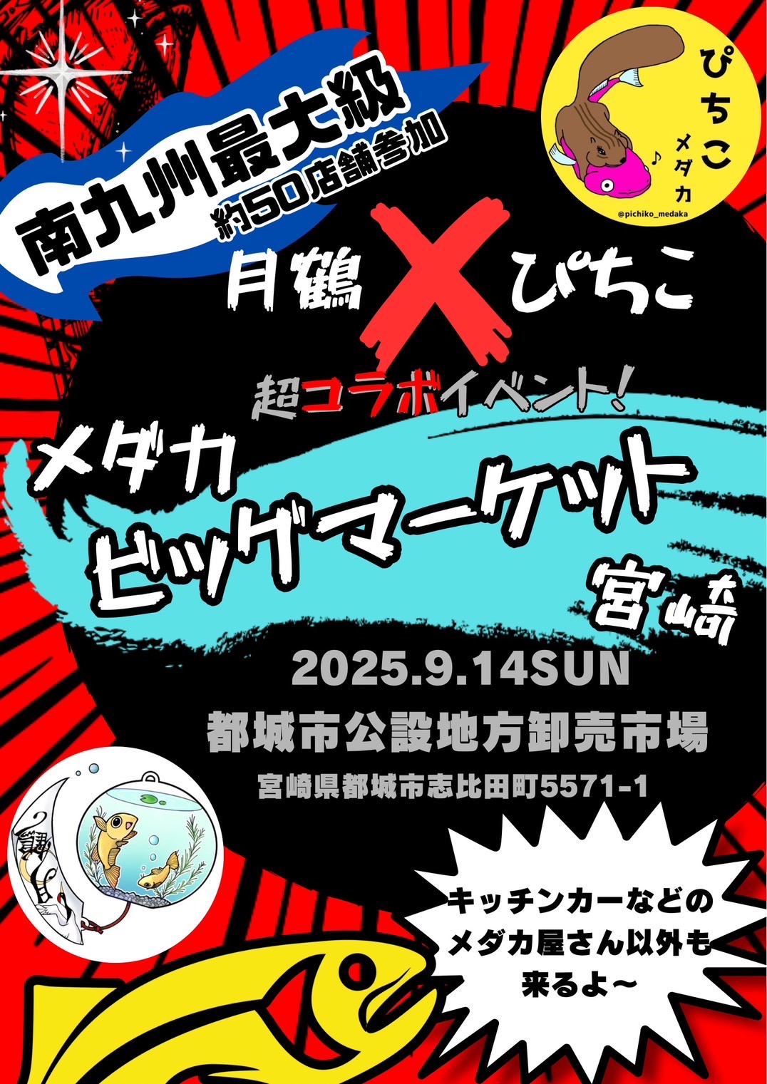 9月16日メダカイベント　都城市道の駅ニクル　めだか 3月17日日曜日都城市道の駅ニクルでめだかフェス開催 (ププめだか