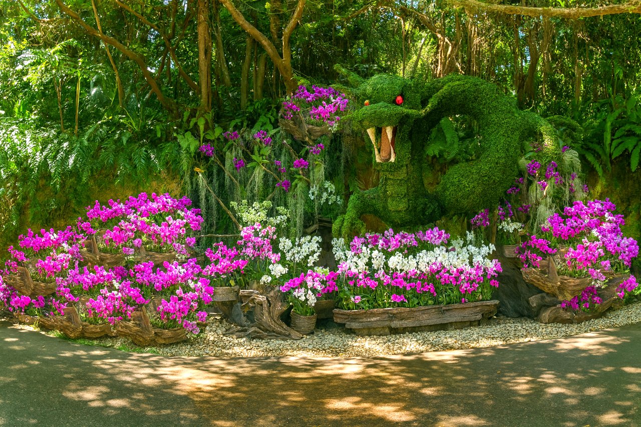 ビオスの丘 らんの花祭り 秋