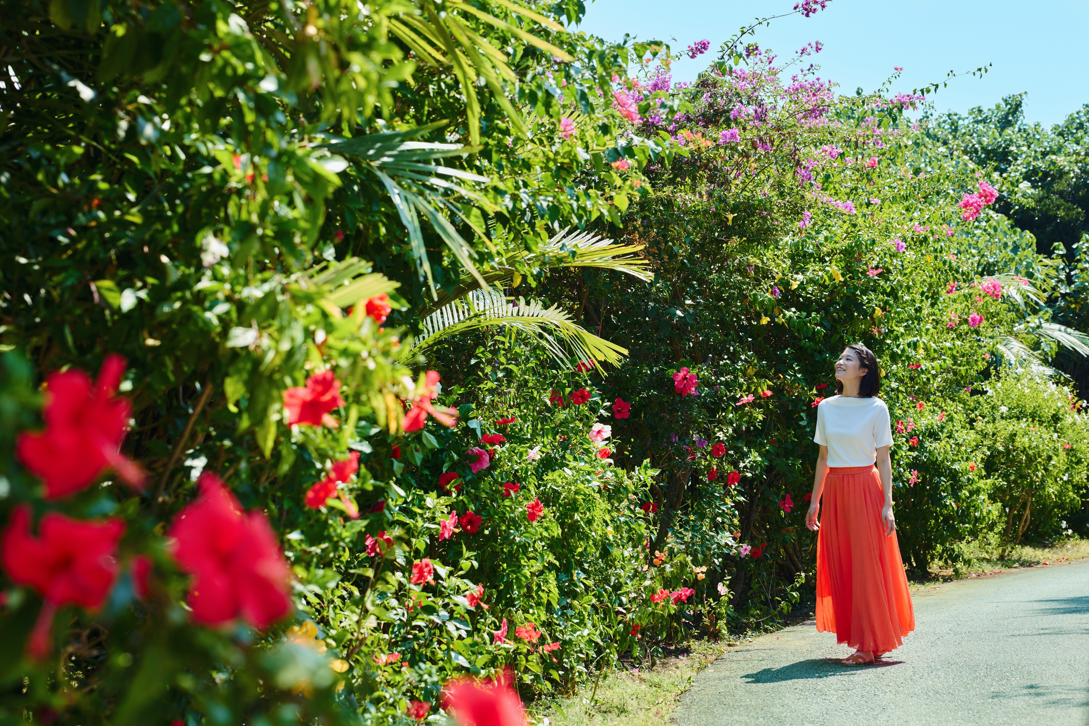 美しい花々に癒される「南の島の花咲くリゾナーレ」