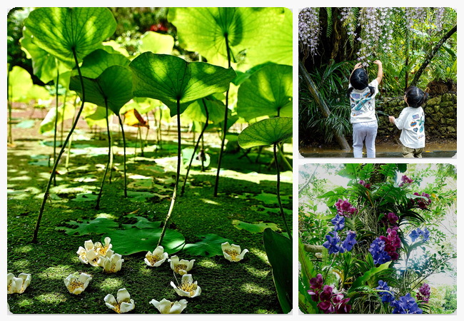 「ビオスの丘」フォトコンテスト2026