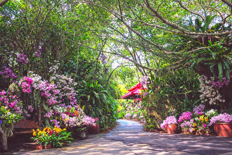 ビオスの丘　うりずんの花道