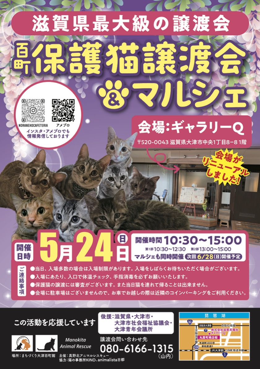 【大量】猫の日用品お譲りします 猫結び️️マルシェinなんば迄あと⁡ ⁡＼1日／⁡ ⁡⁡ ⁡1/12(日)13:00-16