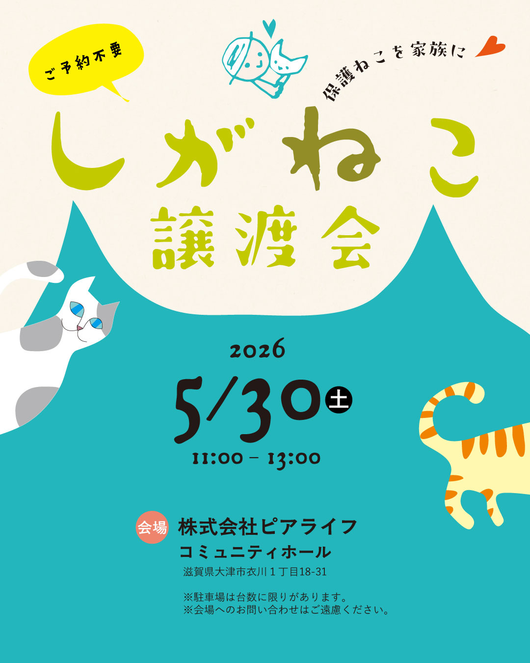 しごねこ譲渡会 | 大津市イベント情報集約サイト