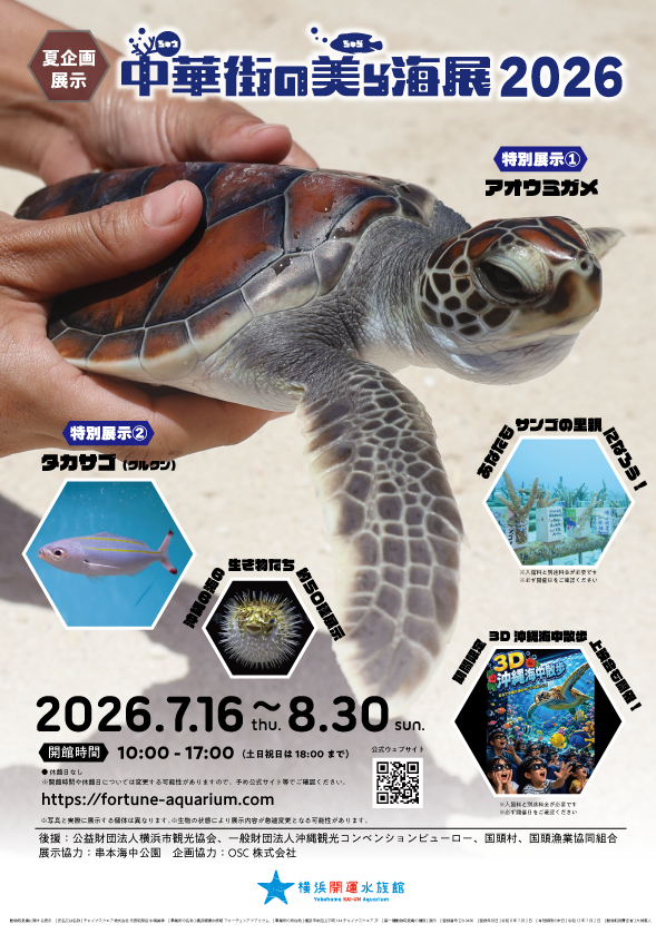 中華街の美ら海展2026