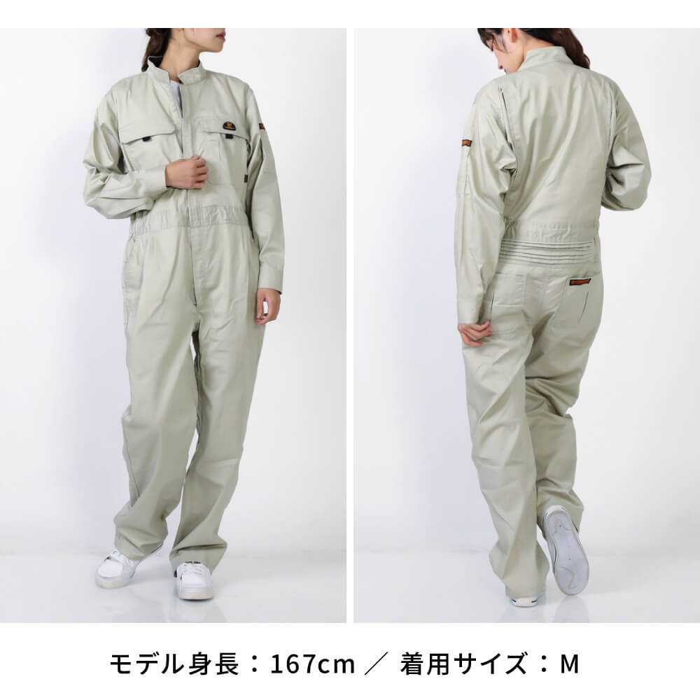 説明