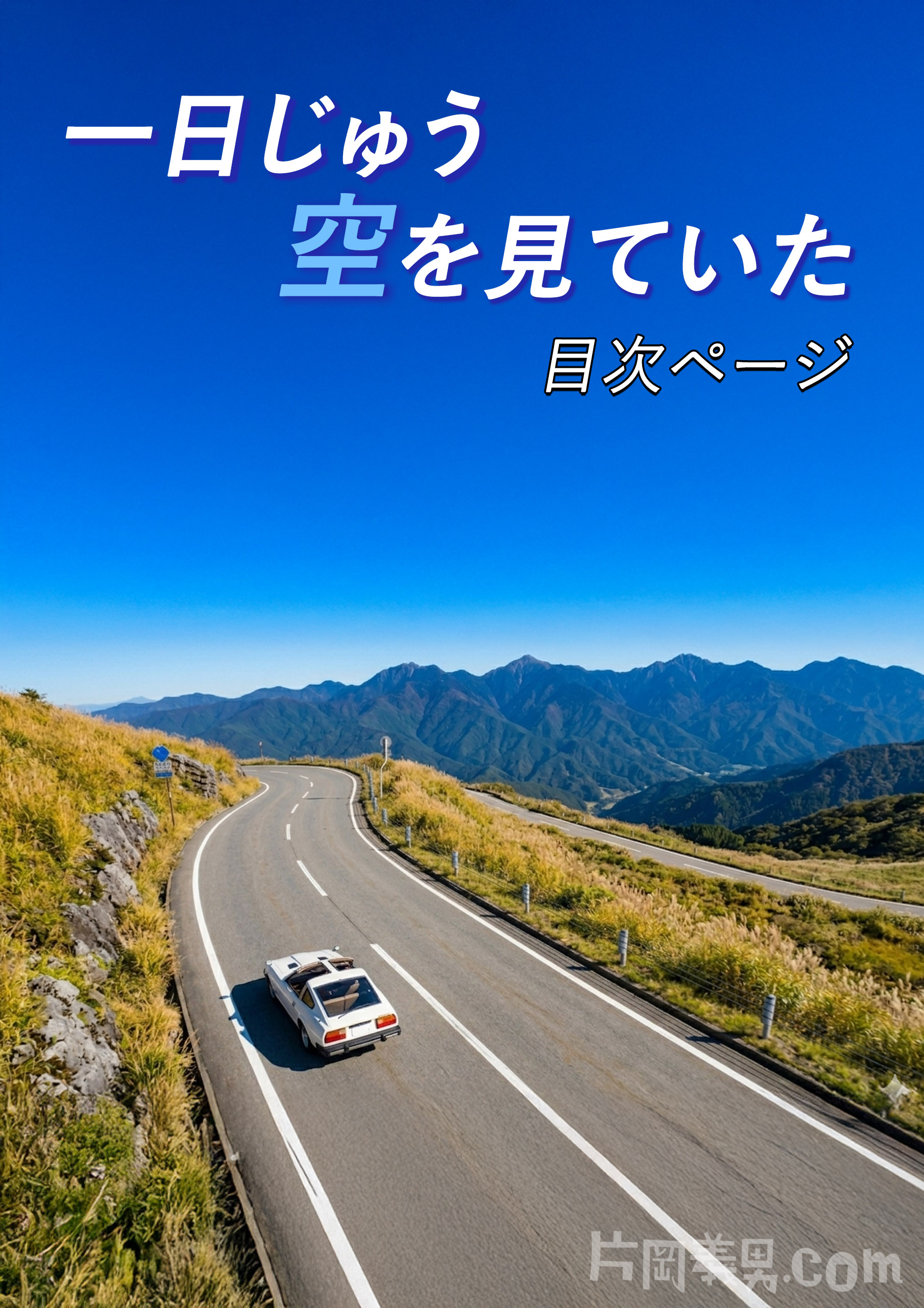 『一日じゅう空を見ていた』目次