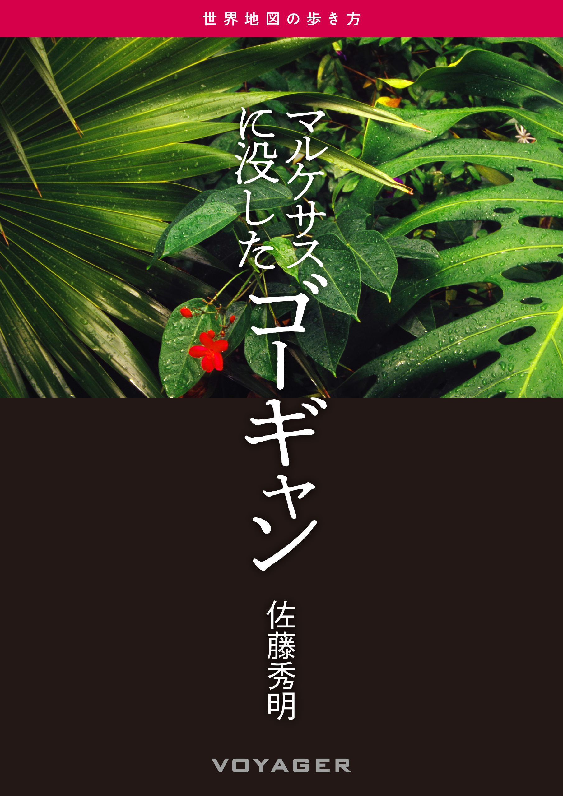 第7回『マルケサスに没したゴーギャン』