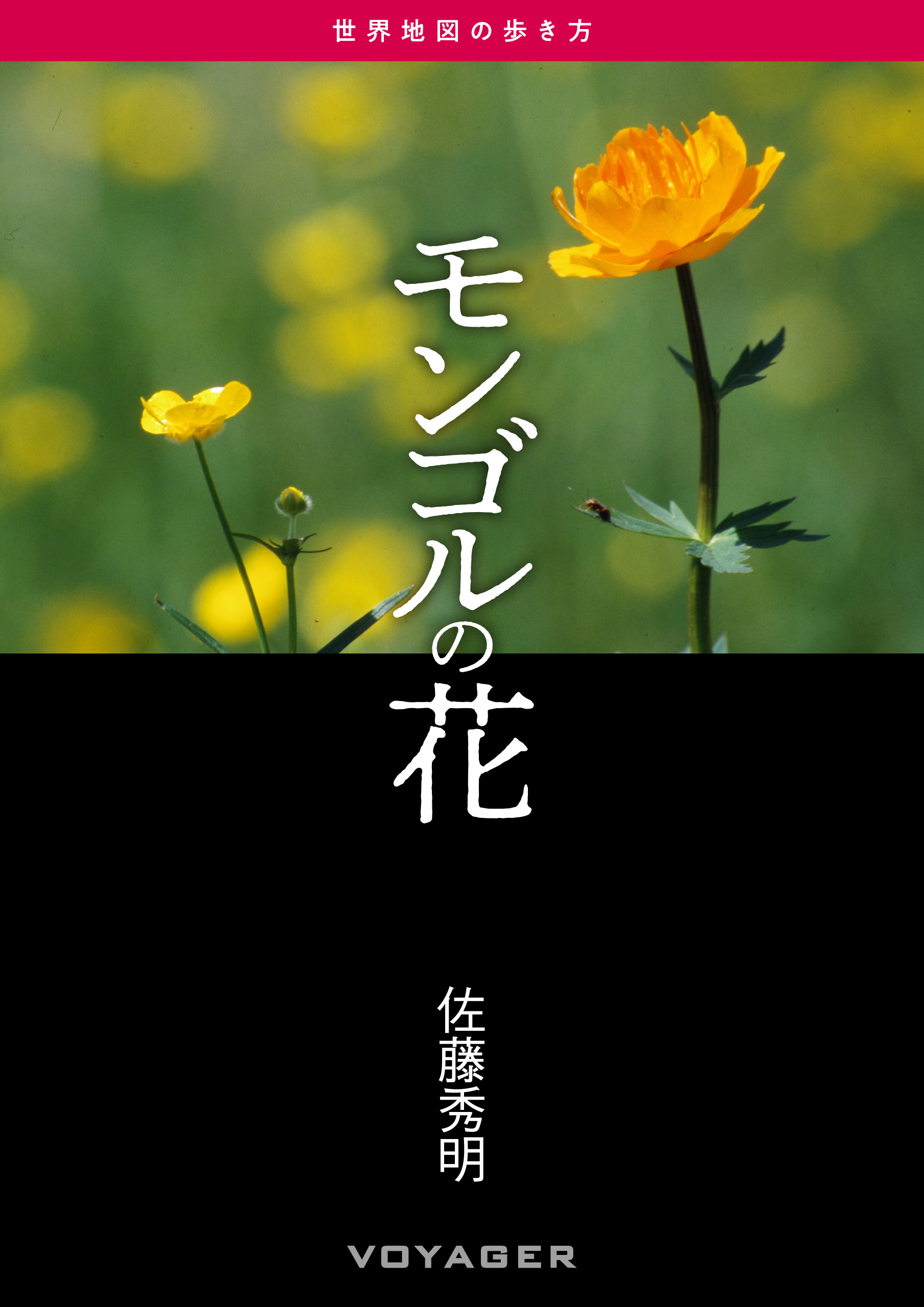 第51回『モンゴルの花』