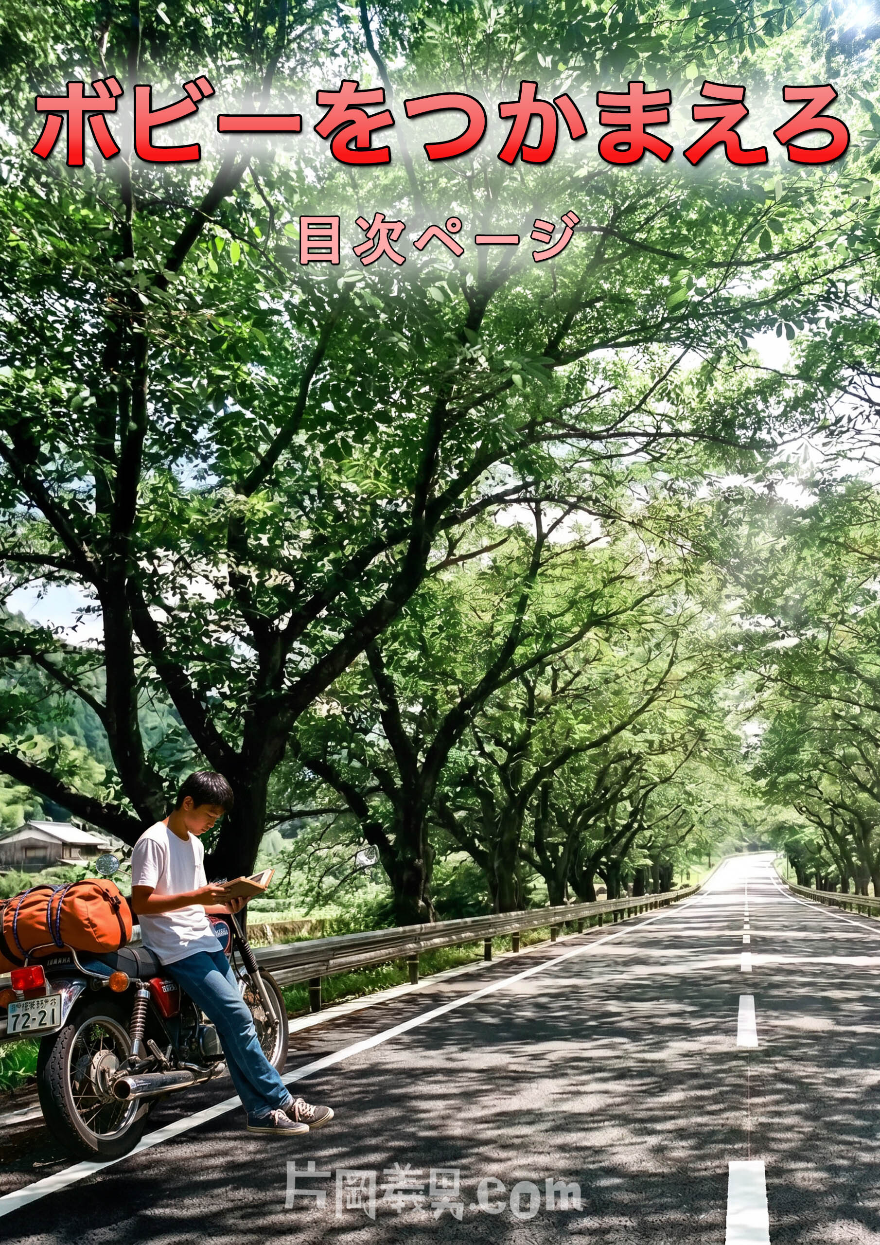 『ボビーをつかまえろ』目次