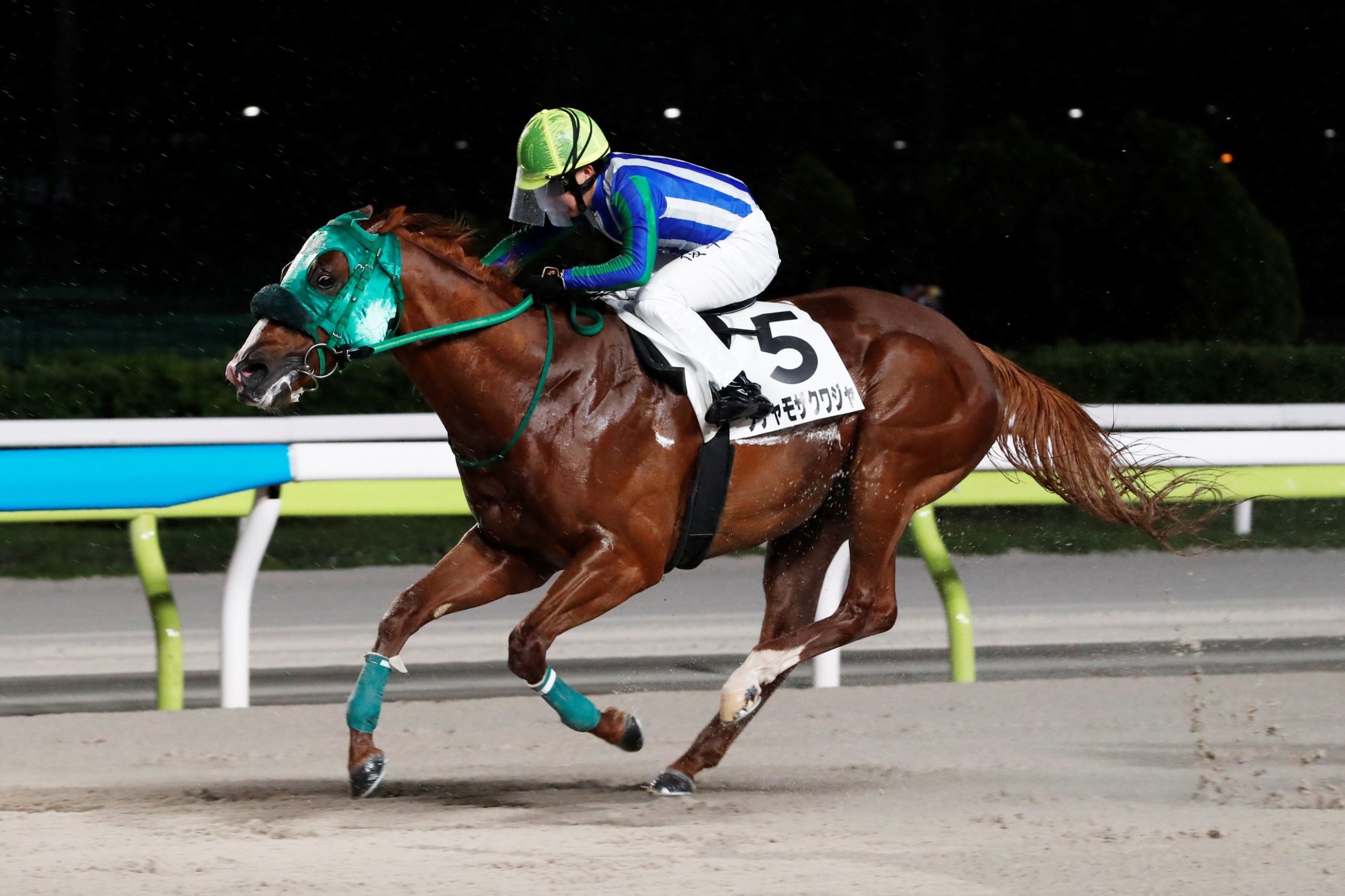 大井競馬場　騎手印　御駿印新品未開封34枚コンプリートセット 大井競馬場 騎手印 御駿印新品未開封34枚コンプリートセット 大井