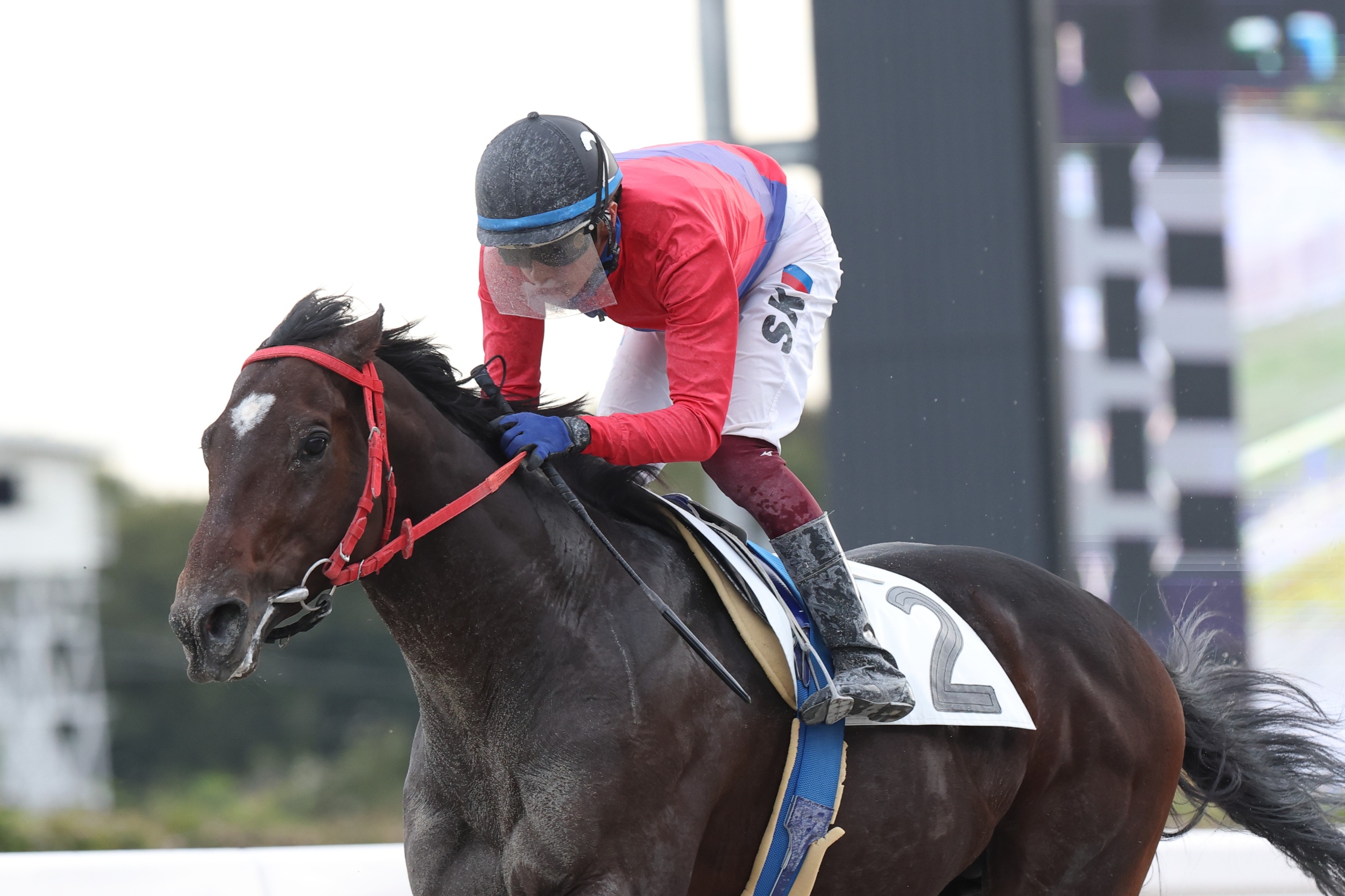 ボールドホーク号