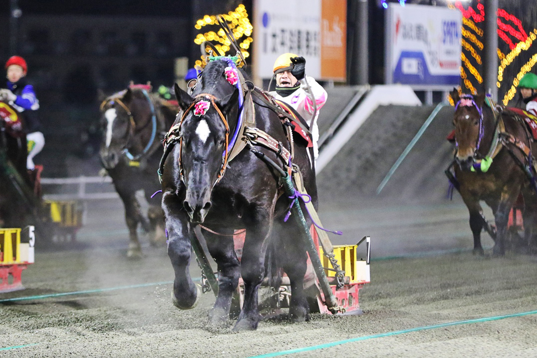 第50回ばんえいオークス結果