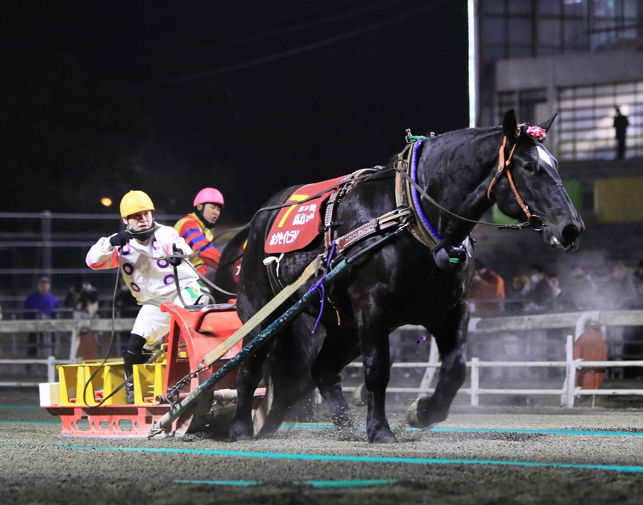 第50回ばんえいオークス結果