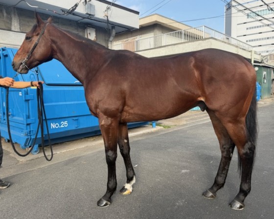 アンエクスプロード