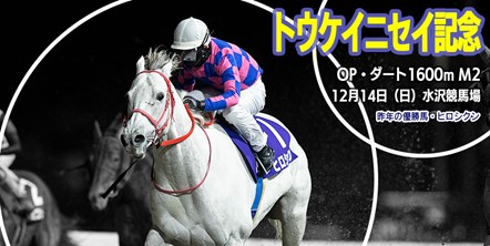 岩手】重賞 第24回トウケイニセイ記念 見どころ:お知らせ&ニュース