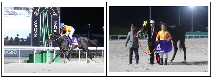 メイショウタイセツ号