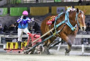 ヒロインズカップ優勝馬：サクラヒメ号_1